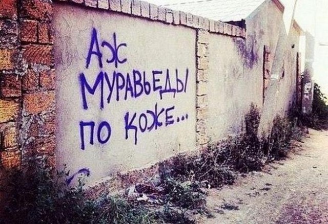 24 надписи на стене