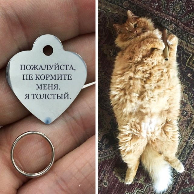 27 соседей, которые могут сделать любой день незабываемым