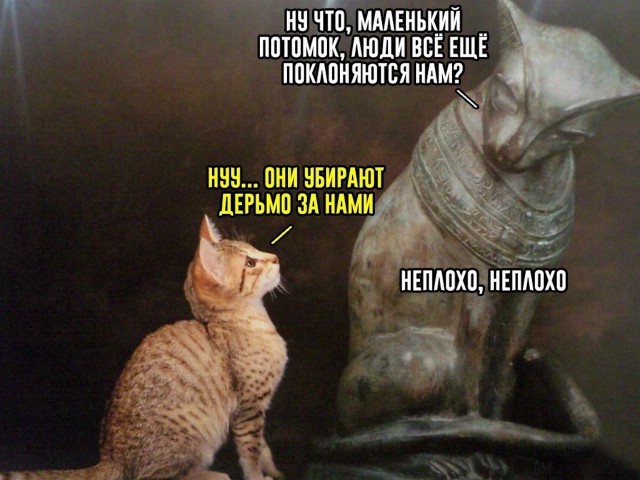 Нестандартный юмор