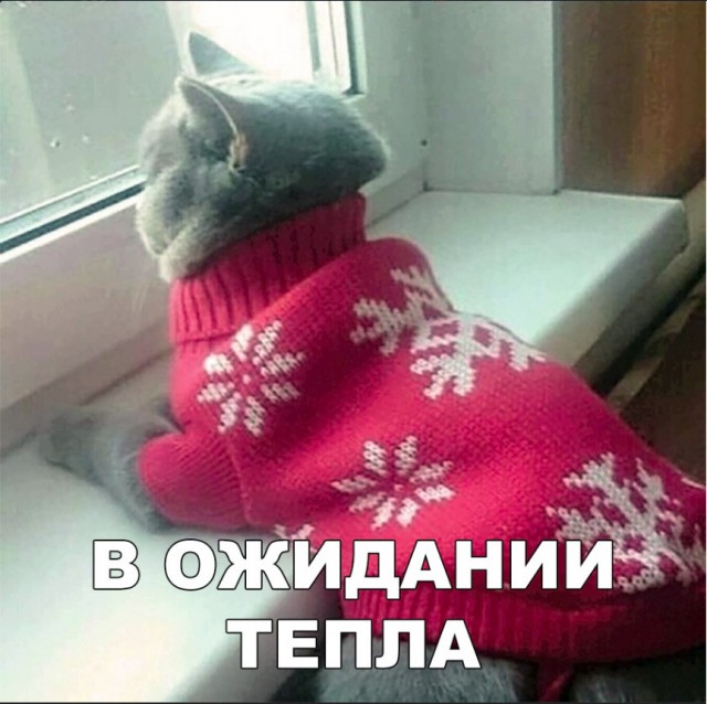 Картинки из ваших энторнетов