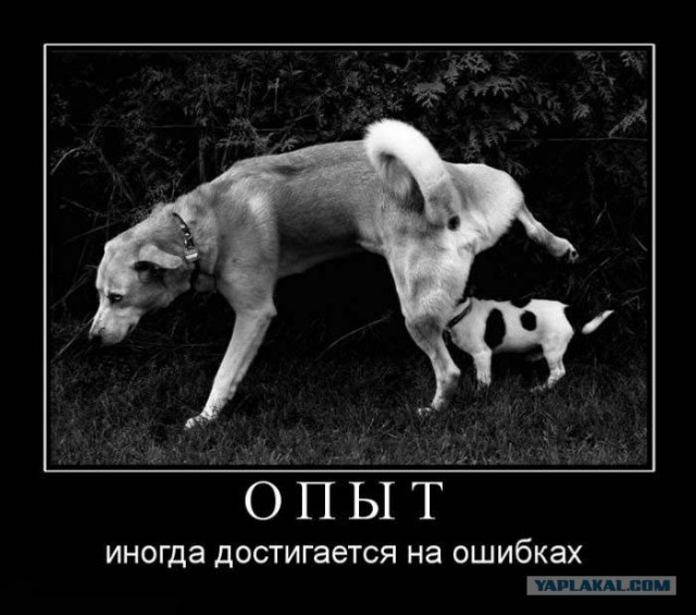 Человек, который живет в лесу и делает сайты.