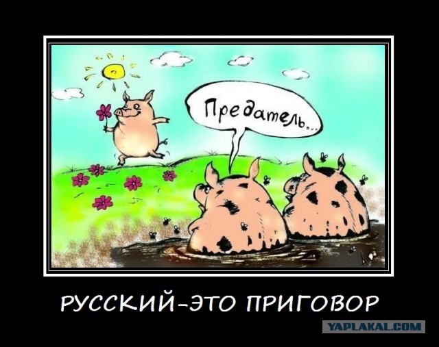 Как живут несчастные люди в мигрантском аду