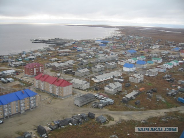 Разноцветная Сабетта
