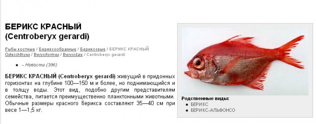 Цены на продукты питания на Камчатке (фото)