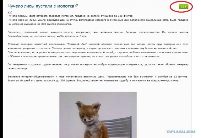Чучело лисы пустили с молотка