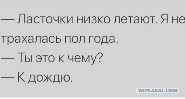 Женщины с низкой социальной ответственностью - меняются в браке или нет?