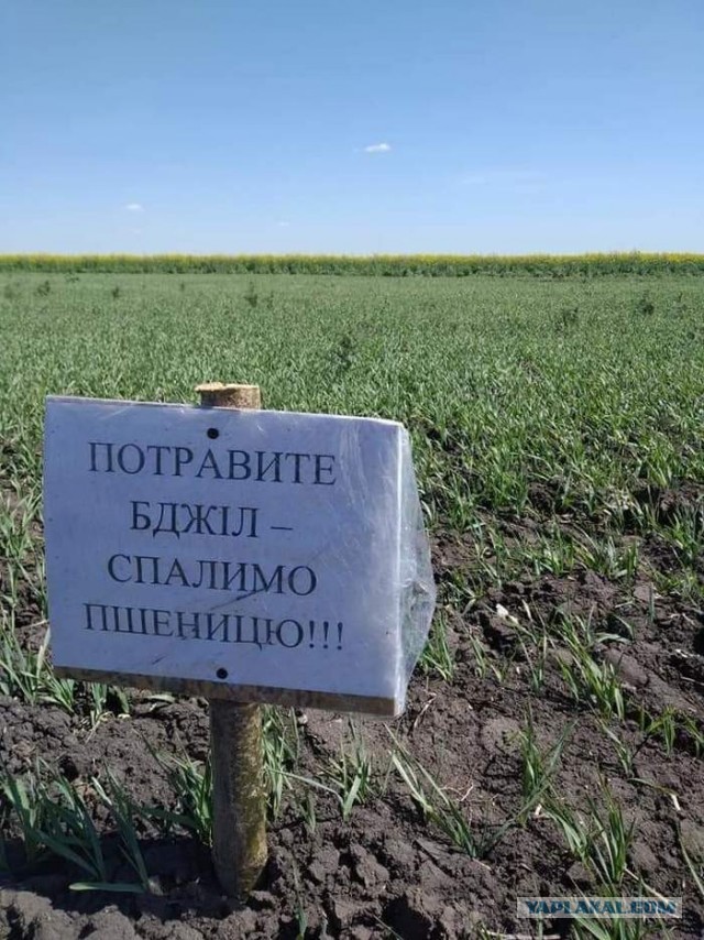 Беда на Ставрополье. Более 100 пчеловодов потеряли пчел!