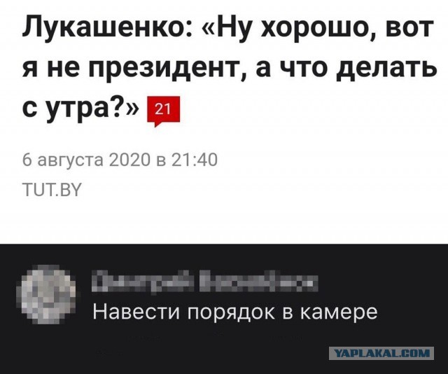 Экзитпол: Лукашенко набирает 79,7%