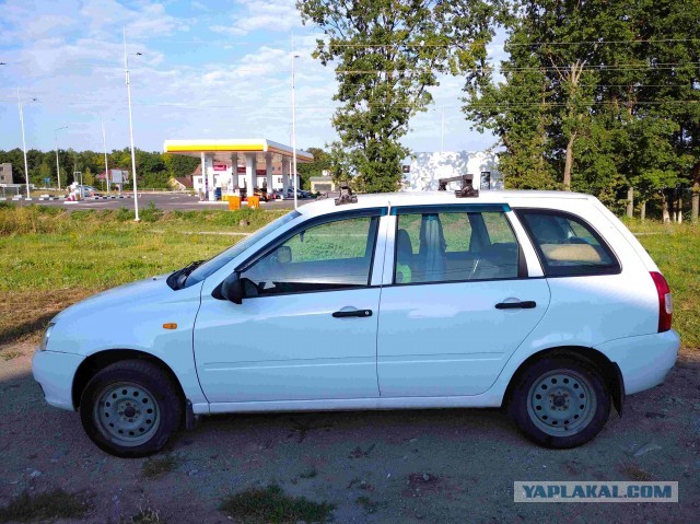 Калину в Белгороде продам