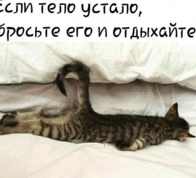 Картинки всякие, 27.08.2020