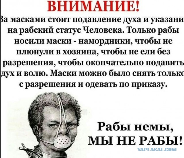 Мракобесие продолжается! Петербуржцев перестанут пускать в транспорт без масок и перчаток