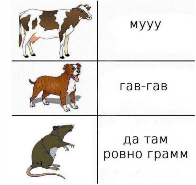 Юмор и прикольные картинки