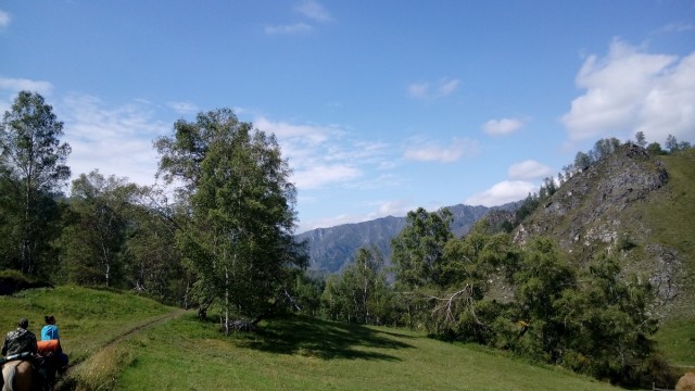 На конягах по Алтаю