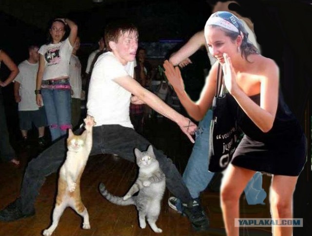 Фотожаба: любопытный парень