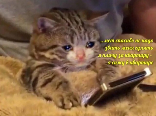 Бредзона 21.02.21