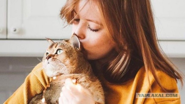 Девушки котовторника