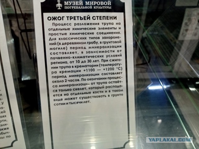 Что происходит с телом после смерти