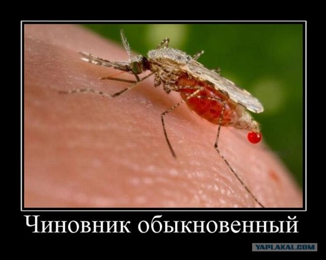 Как президент Удмуртии освоил часы за 3,6 млн руб