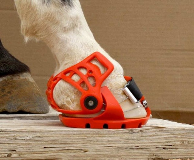 Калейдоскоп картинок