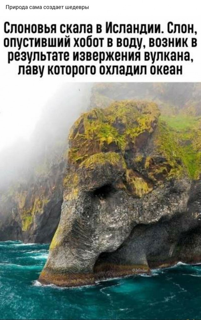 Всякие разные картинки 14.07.21