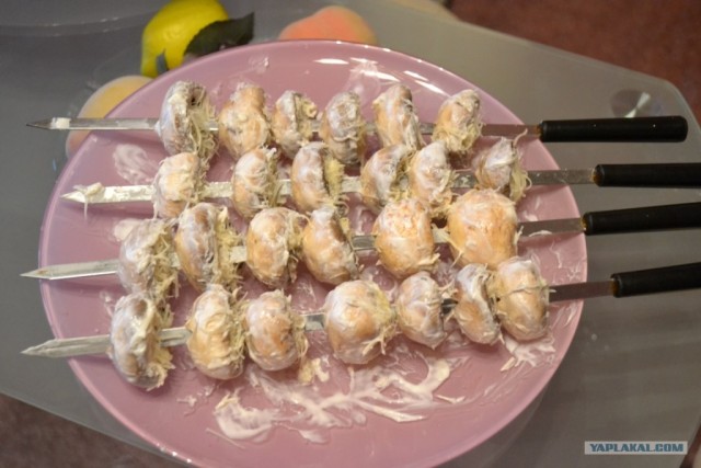 Шашлык, рецепты маринада, все про шашлык!