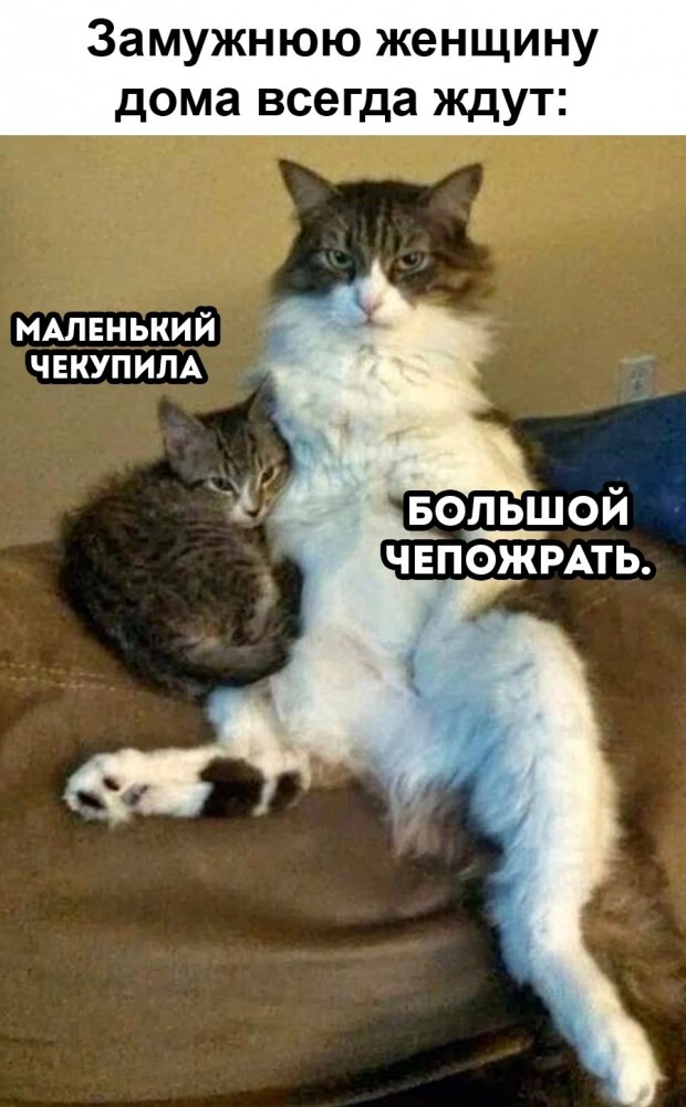 Картинки на разную тематику