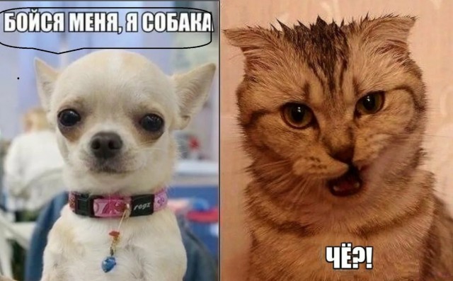 Мне бы поспать