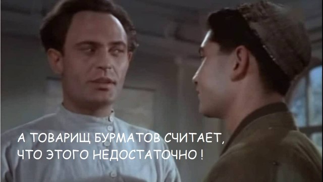 Кошек и собак включат в законопроект об обязательной маркировке животных