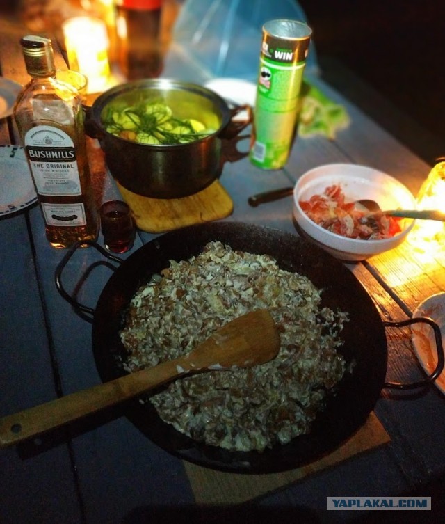 «Мясо бедняков»