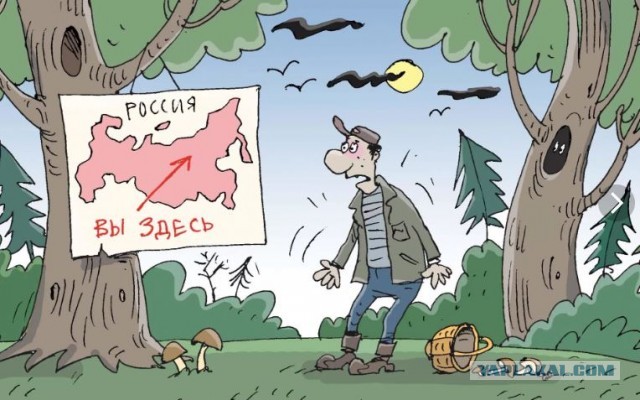 Рыжий год