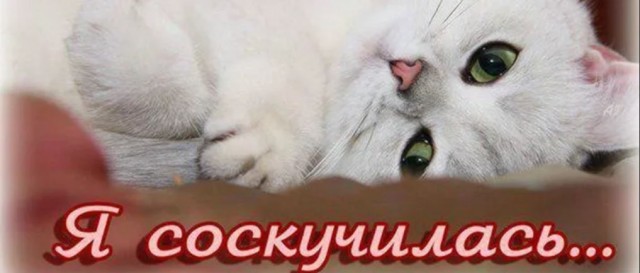 Пандемия съехавших крыш - разновидности болезни. Россия и мир. Часть 40.