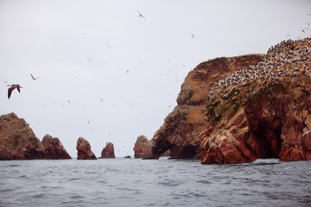 Южно-Американский дневник. Перу.