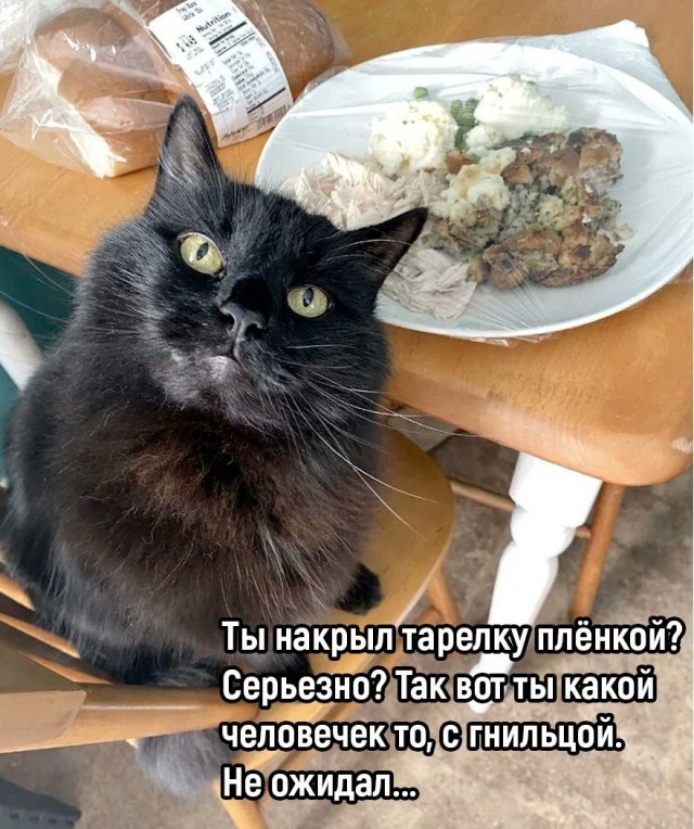 60 картинок