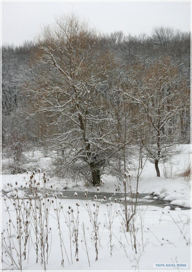 Крым. Терновка. Зимние дороги.