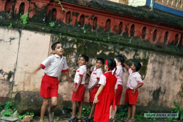 ГоА свои впечатления