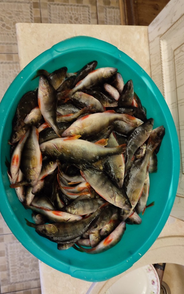 Рыбалка