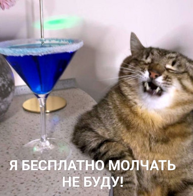 В Курске ученик и его отец донесли на школьного учителя из-за дискредитации ВС РФ