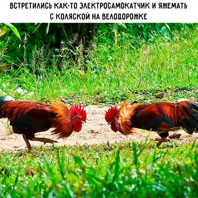 Немного картинок для настроения - 161