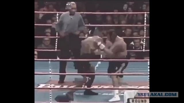 Мощный удар от Майка Тайсона