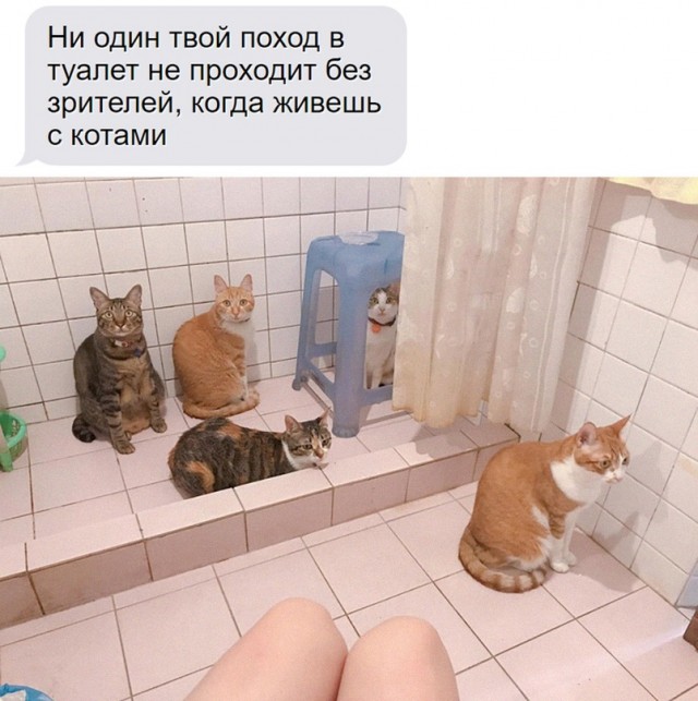 Картинки и мемы, всяко разно - 175