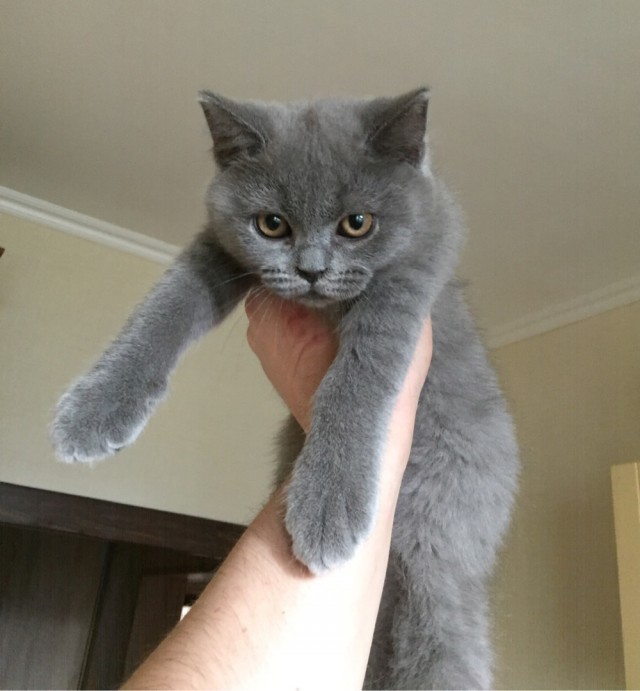 Ну вот и я стал рабом.