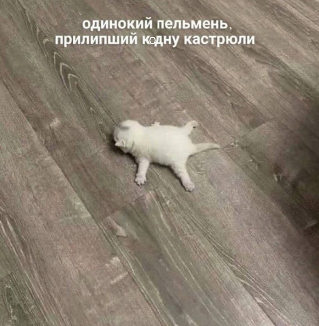 Пикчи-юморески