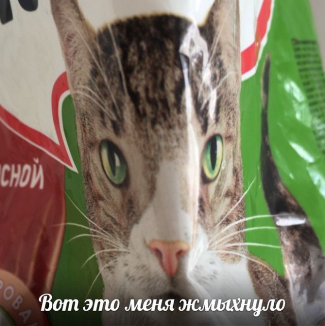 Дюжев после концерта