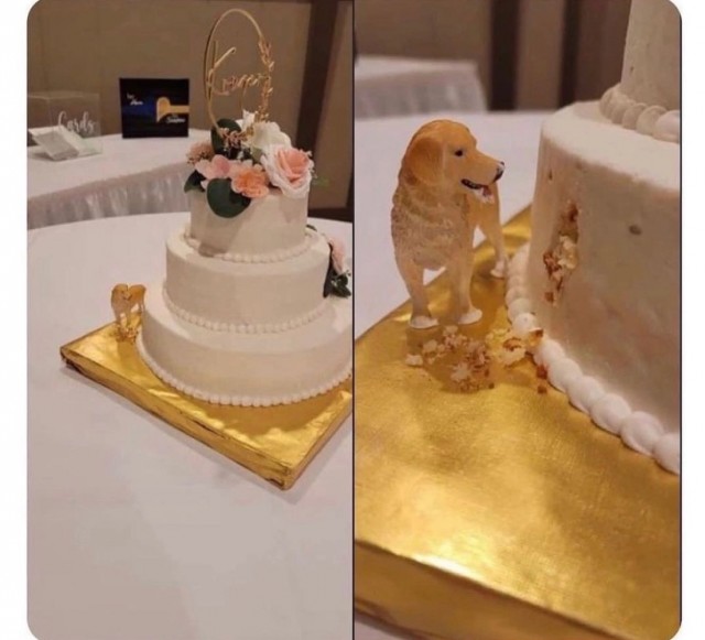 Прикольные и просто красивые картинки 19.09.2023