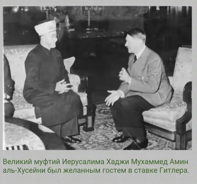 Палестина, или тема, от которой я устал