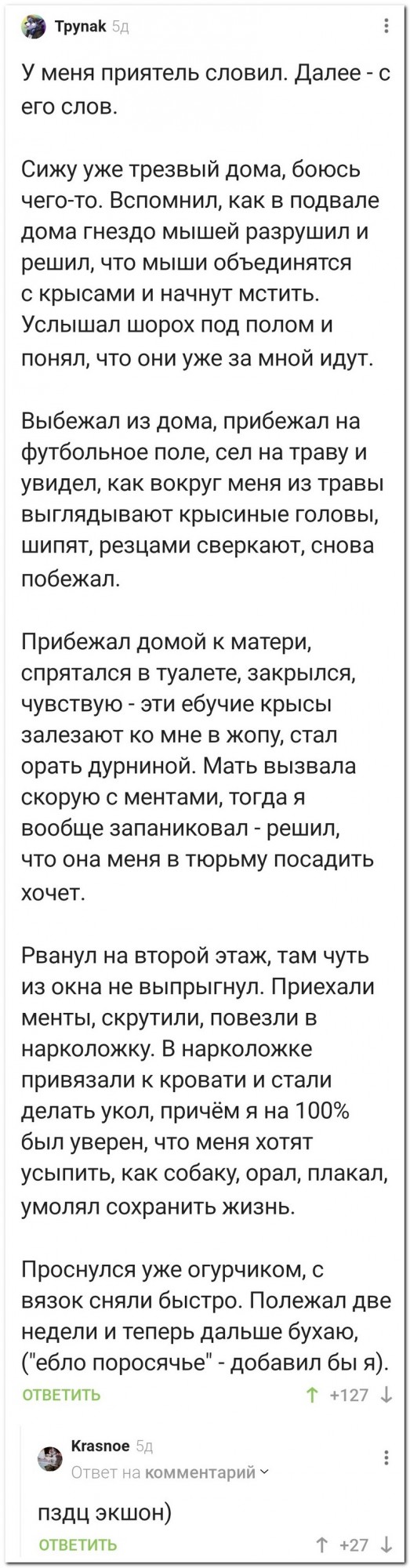 Забавные комментарии из социальных сетей (30.10.23)