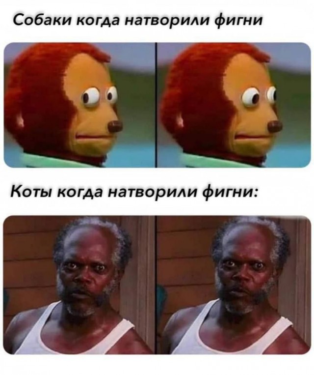 Так себе картинки 02.11.23