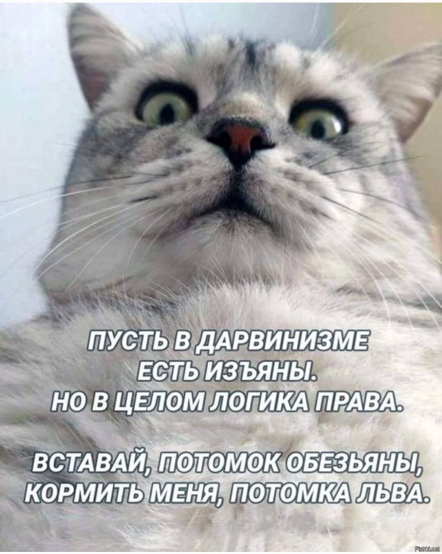 Гроза района.