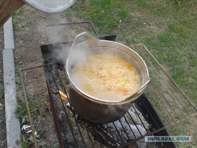 Пловские старания, ... эпическое полотно о Плове...