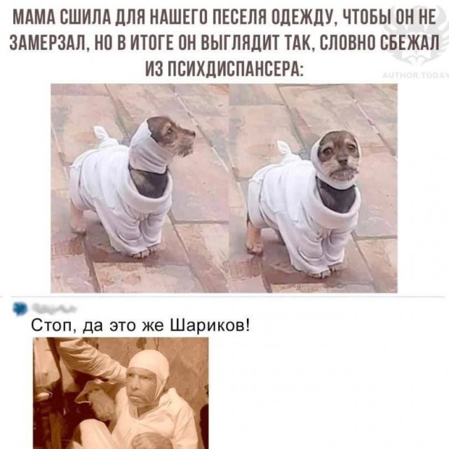 Завалялось тут случайно немного забавных картинок